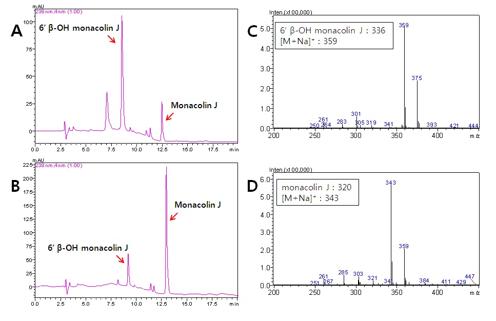 Fig 12. LC-MS profile of Monacolin J metabolites by CYP102A1 M16V3 [A] and CYP102A1 chimeric mutant B4 [B]