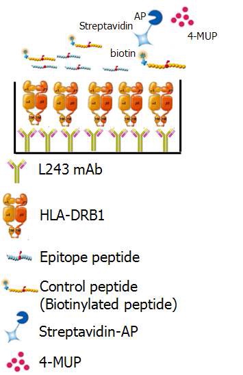 그림 5. Peptide-binding blocking assay 모식도