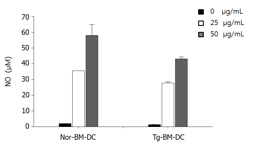 그림 12. Transgenic mice 유래 수지상세포 (Tg-BM-DC)의 NO 생성능