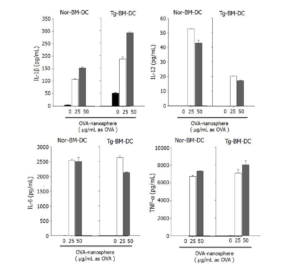 그림 11. Transgenic mice 유래 수지상세포 (Tg-BM-DC)의 cytokine 생성능