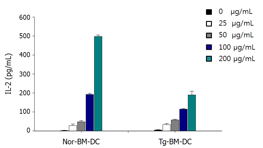 그림 13. Transgenic mice 유래 수지상세포 (Tg-BM-DC)의 class I MHC를 통한 외부항원 항원제시기능