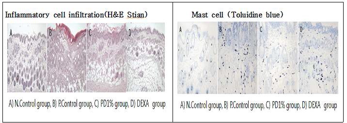 Fig1. Histological findings for Skin epidemal thickness cell, and mast cell count.