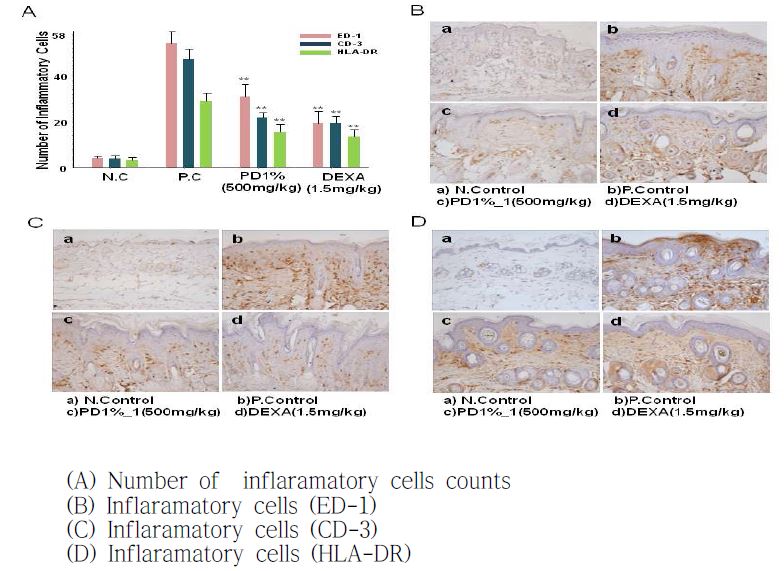 Fig8. Imunohistochemical findings for varius inflammatory cell