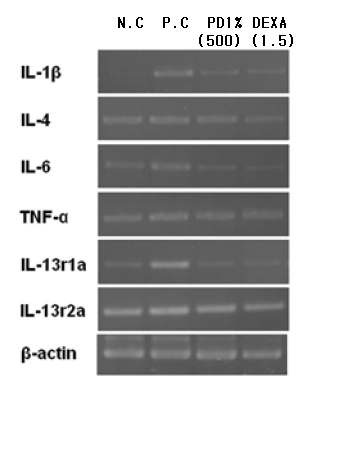 Fig10. Effects of PD1% extract on mRNA expression of pro-inflammatory and allergic cytokines.