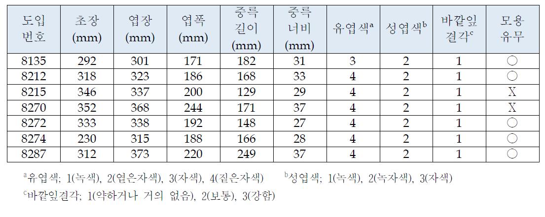 적색배추 선발 우수계통 성능검정