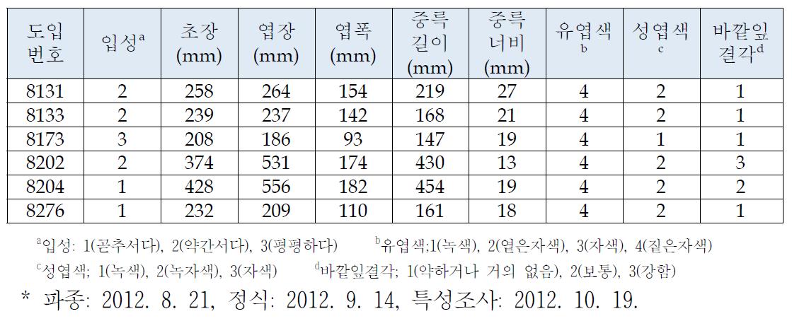 적색 배추아종 우수계통 성능 검정