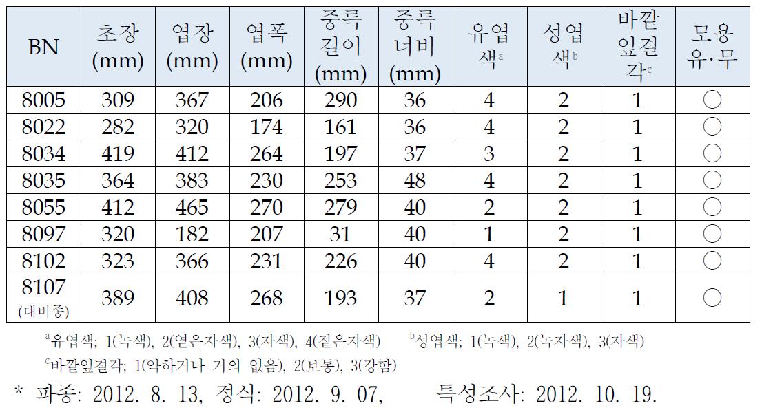 적색배추 우수조합 특성 검정