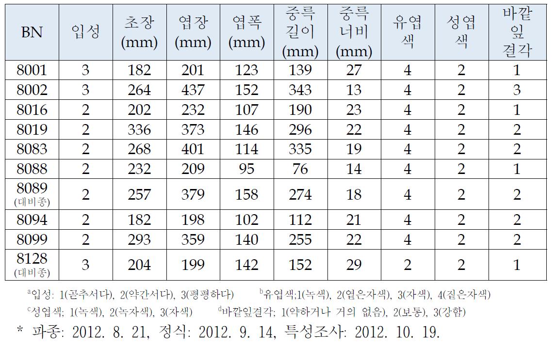 적색 배추아종 우수조합 생육 형질