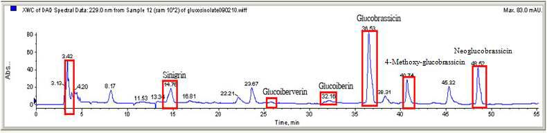 The LC-MS spectrum of glucosinolates in cabbage.