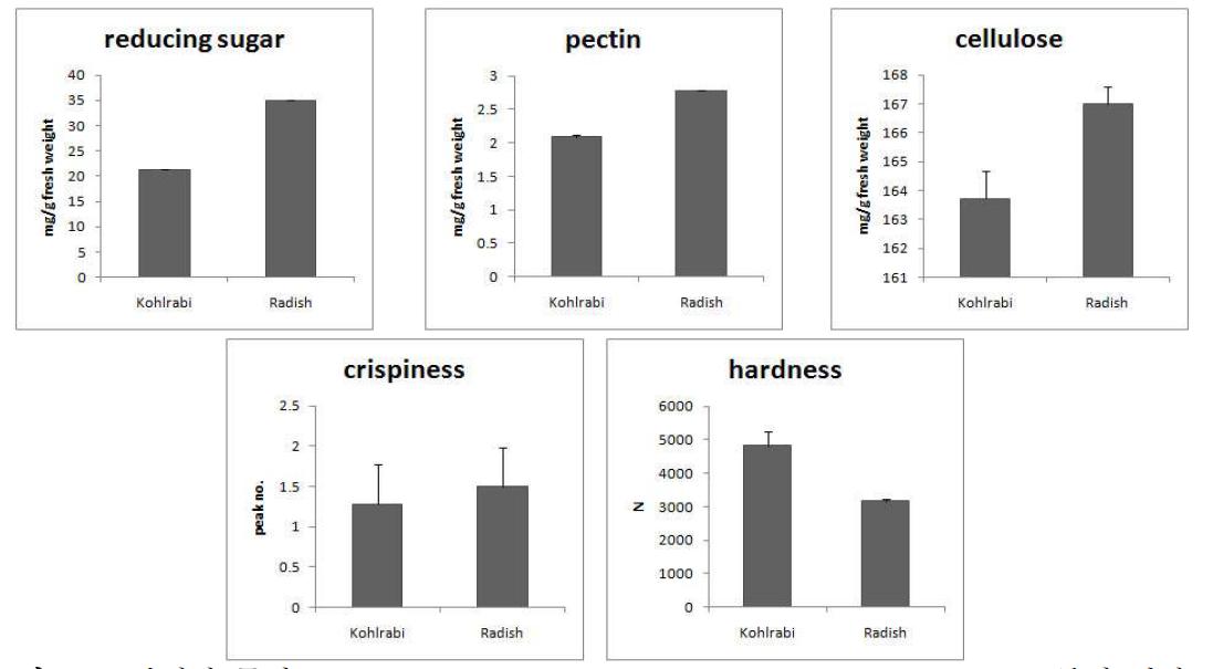 콜라비와 무의 reducing sugar, pectin, cellulose, hardness crispiness 분석 결과.