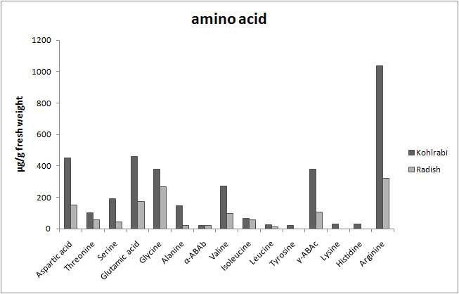 Amino acid contents (μg/g fresh wt.) in kohlrabi and radish.