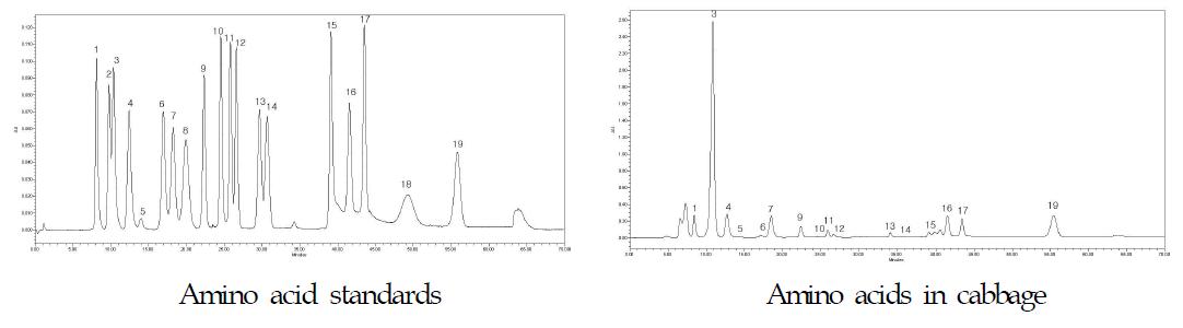 HPLC chromatograms of amino acids.