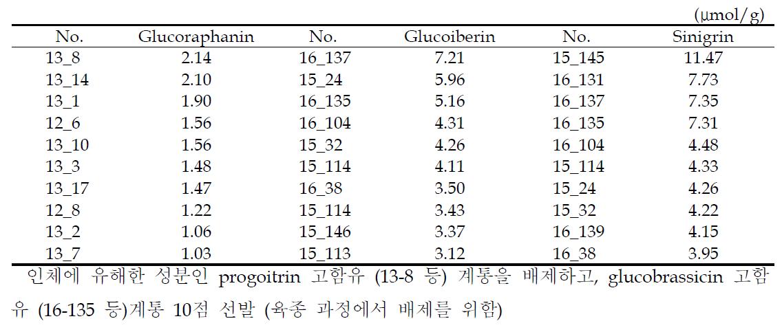 항암 기능성 글루코시놀레이트 분석에 따른 양배추 선발