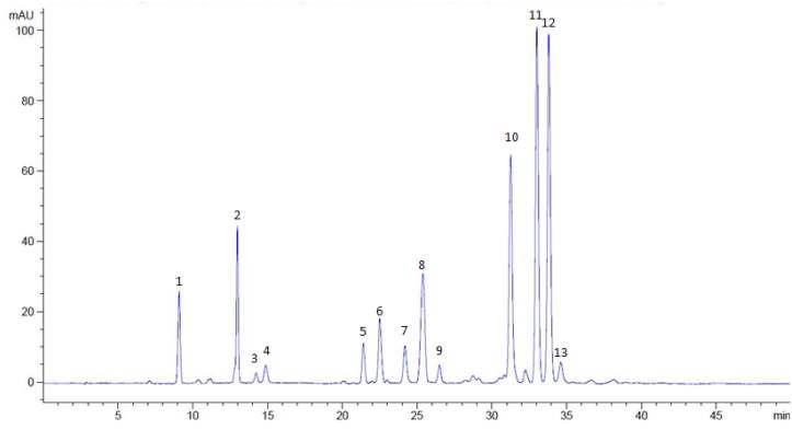 HPLC chromatogram of anthocyanins in red cabbage.