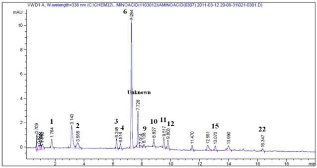 HPLC chromatogram of free amino acids in green cabbage.