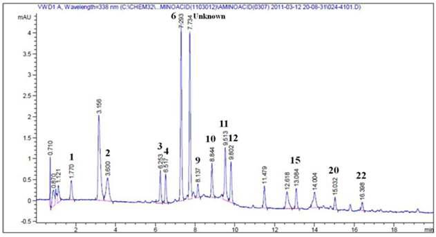 HPLC chromatogram of free amino acids in red cabbage.