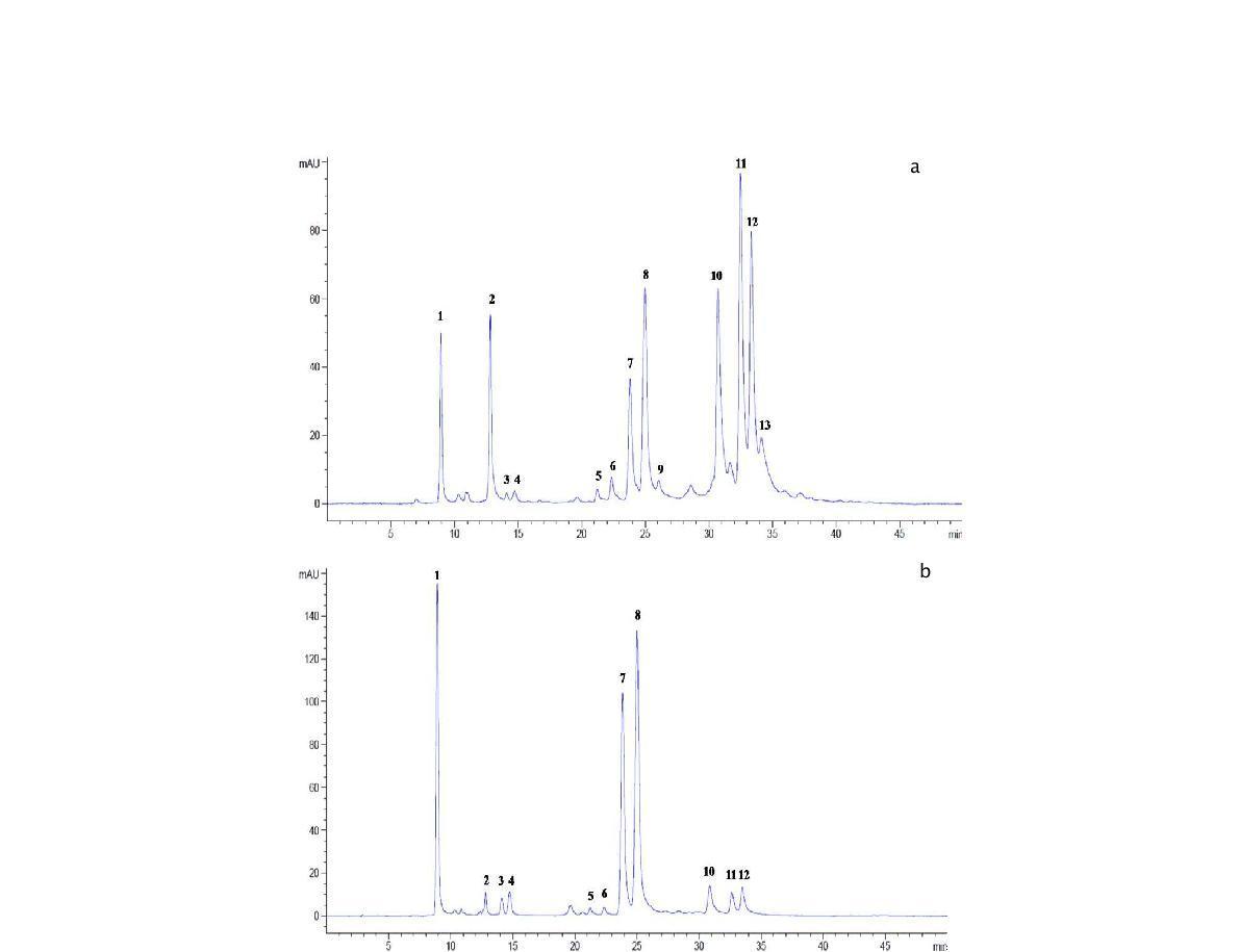 HPLC chromatograms of anthocyanins in red cabbage.