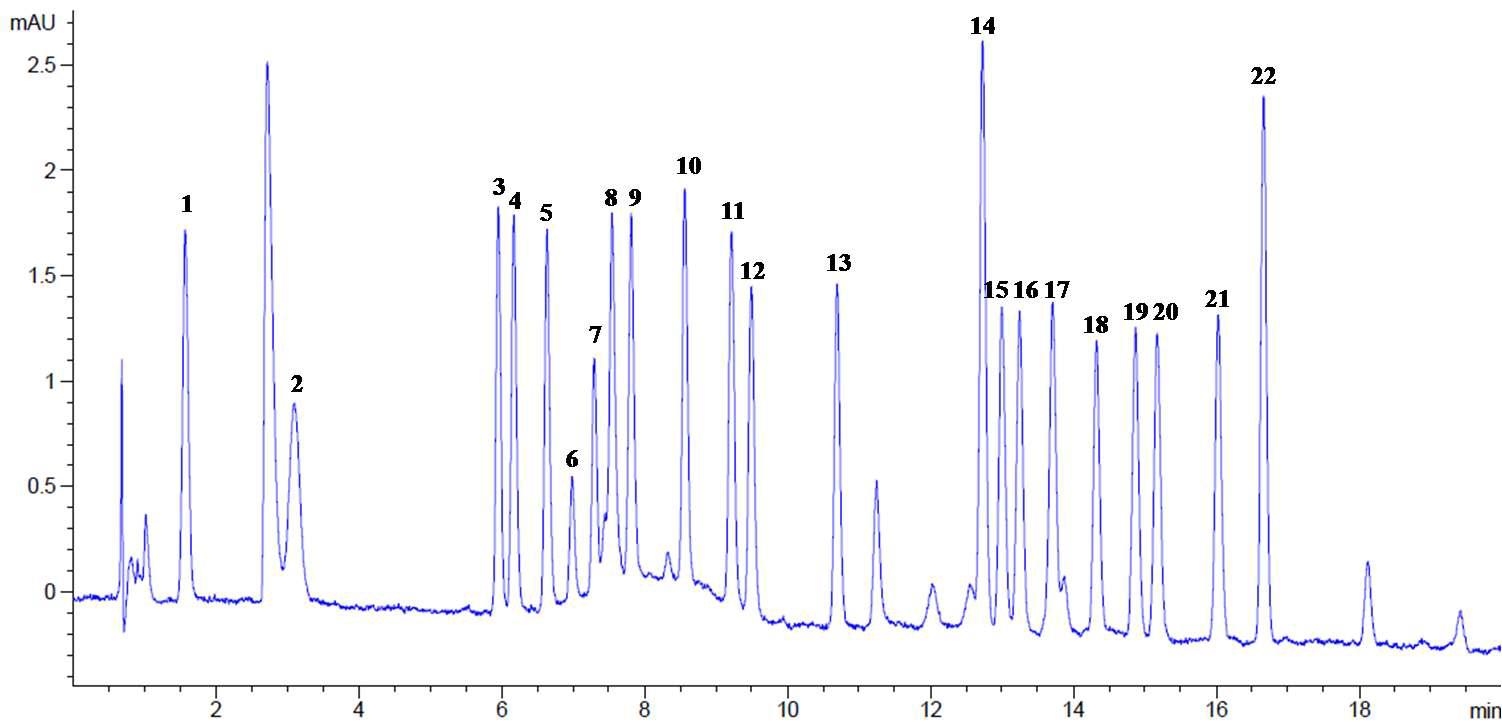 HPLC chromatogram of free amino acid standards.