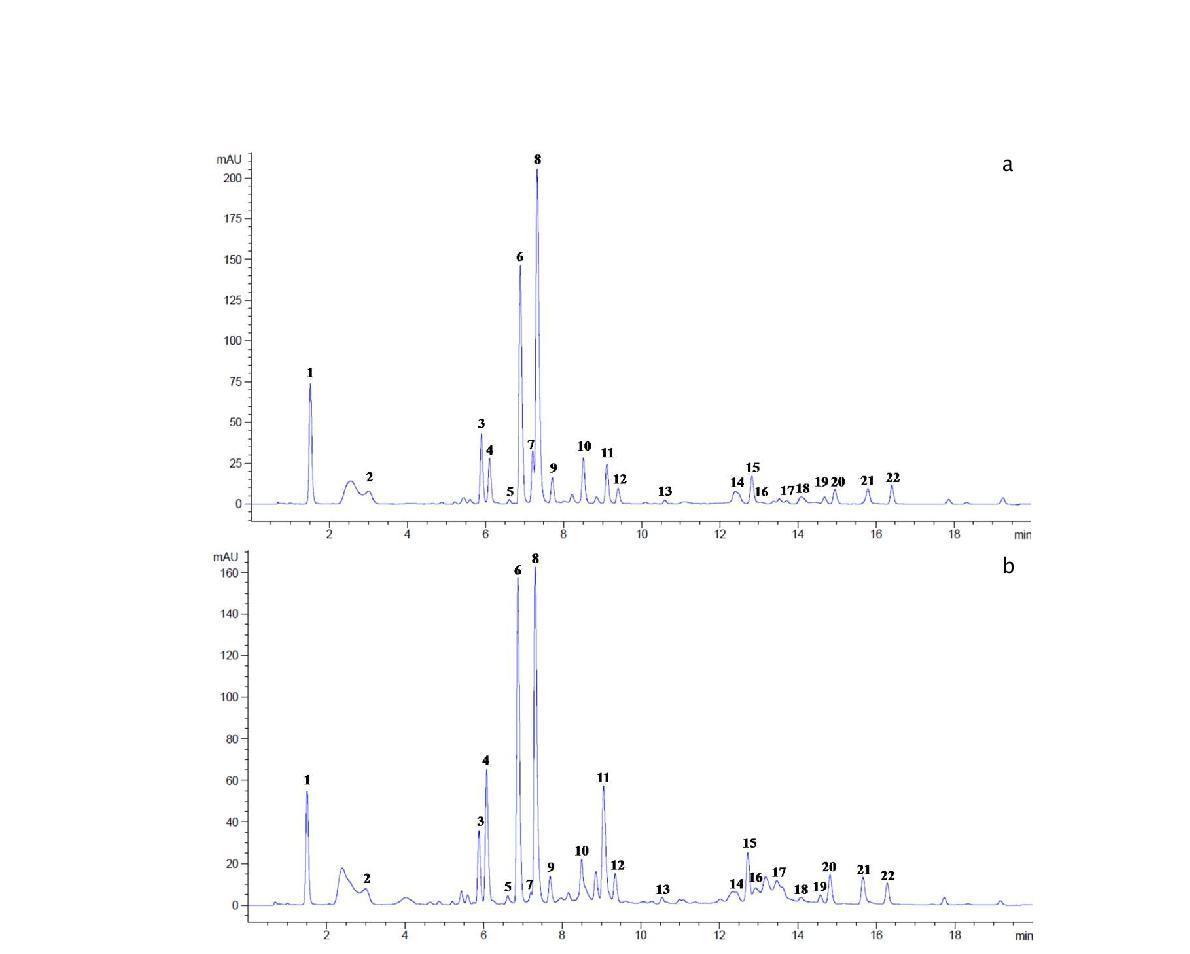 HPLC chromatogram of free amino acids in cabbage.