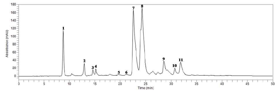 HPLC chromatogram of anthocyanins in red cabbage (12-FP 20).