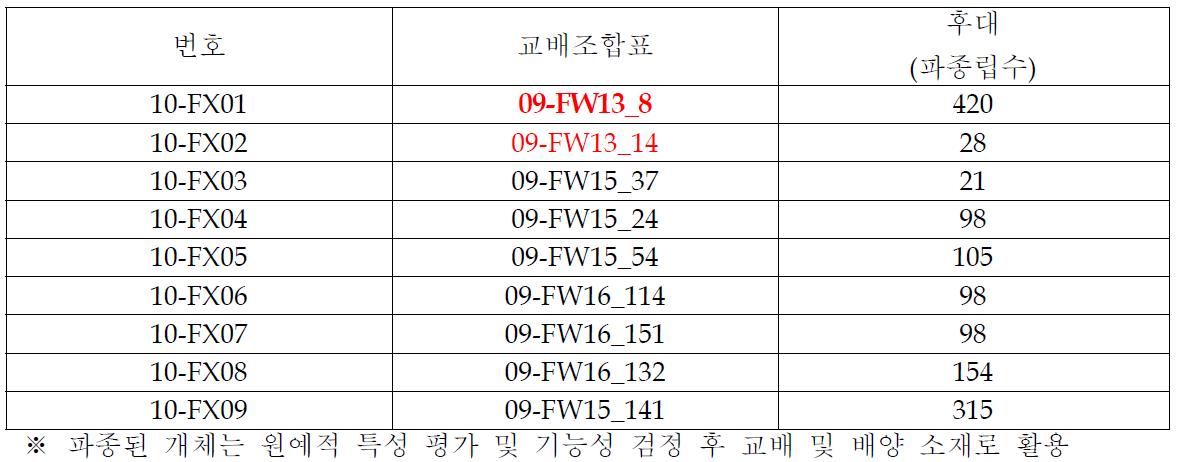 선발 개체 9점 후대 채종량 및 파종 현황