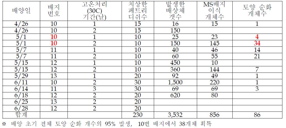 ’11-FS32’를 다양한 배지로 소포자 배양한 결과