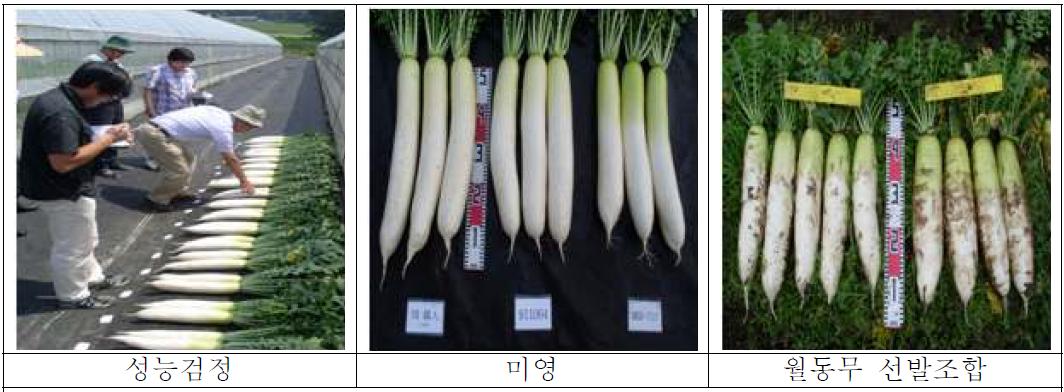 성능검정 및 우수 조합 선발