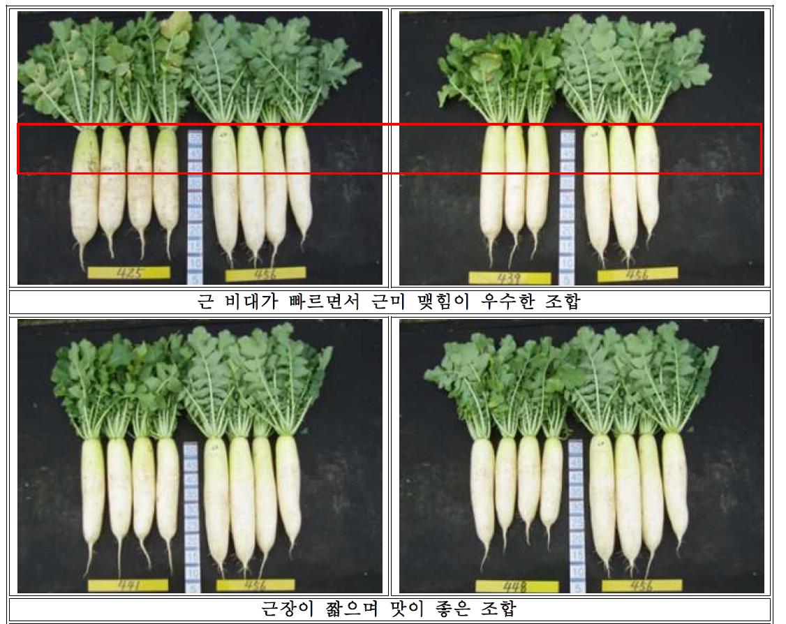 우수 조합 선발