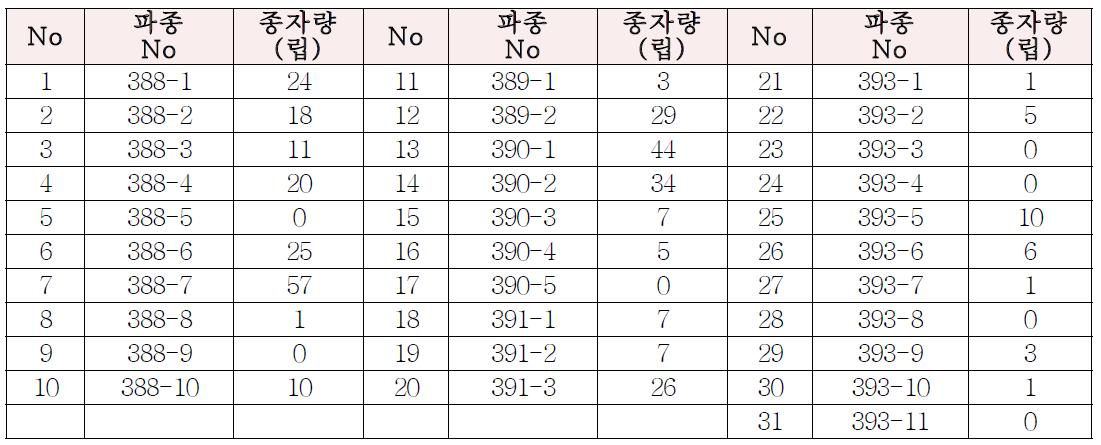 소포자 유래 식물체에서 확보한 종자량