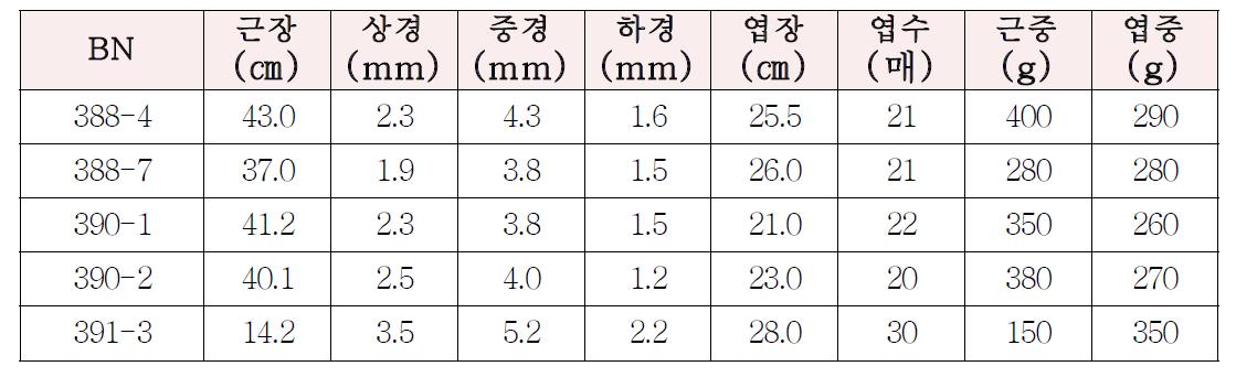 후대 수량조사