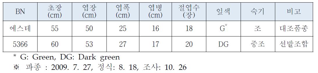 케일 F1 성능검정