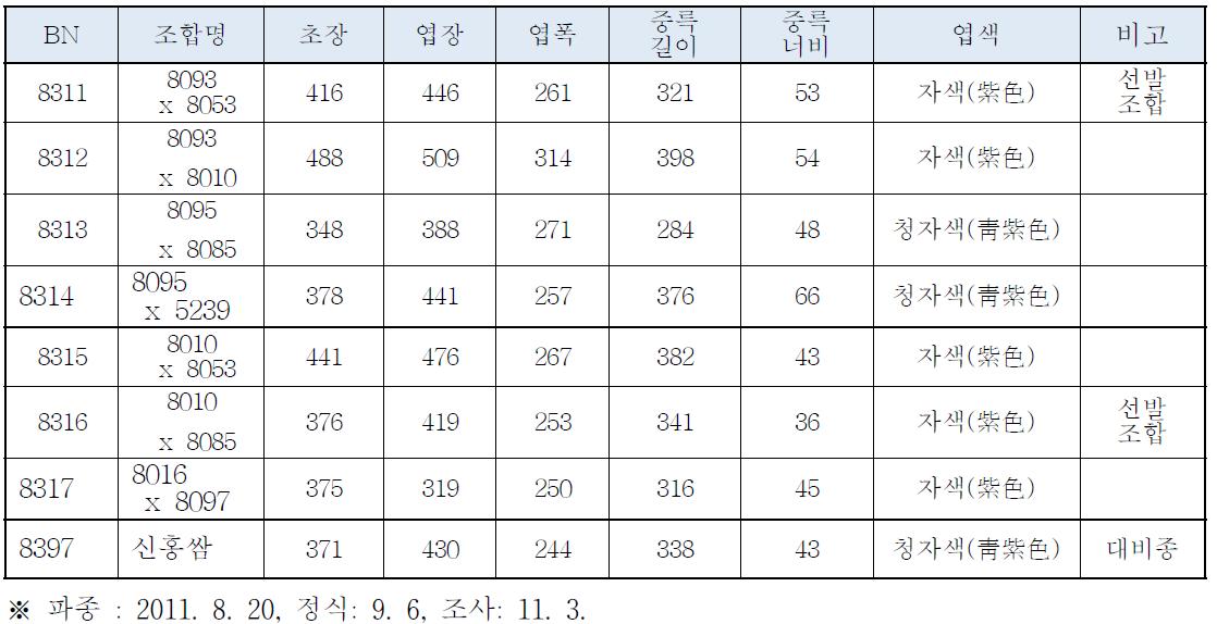 적색배추 조합 선발시험