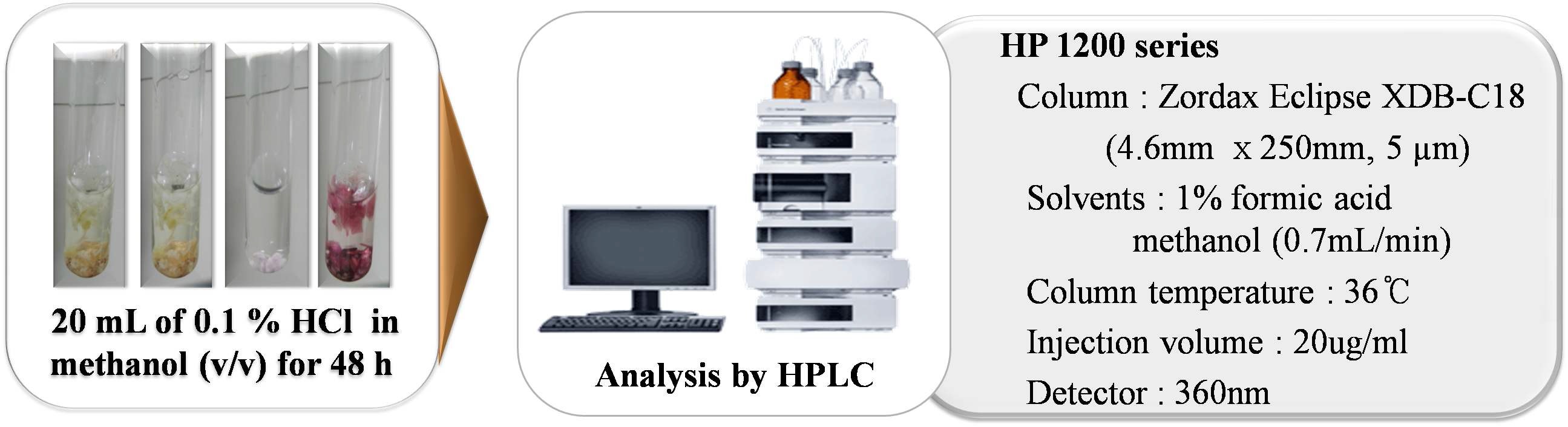 Figure 1. HPLC 의 분석 과정 및 분석 조건