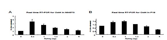 Figure. 1-6. Nanog 양 차이에 의한 Oct-4의 발현 차이 분석(real-time RT-PCR) 방법과 Western blotting을 이용하여 확인