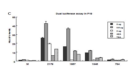 Figure. 1-10. Negative regulation of oct4 by DNMT and HDAC