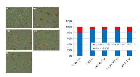 Figure. 3-8. 체세포에 reprogramming factor(Oct4, Sox2, Klf4, c-Myc)와 inhibitor(TSA, 5-aza, 2i)를 처리하였을 때 세포 apoptosis 분석