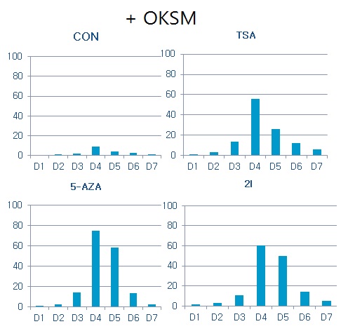 Figure. 3-9. 세포에 reprogramming factors(OKSM)를 tranfsection(+OKSM) 하고 inhibitors를 동시에 처리하였을 때 histone acetylation (H3K9/K14)의 분석