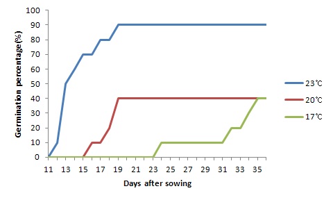 그림 19. 큰둥근여주 온도 차이에 따른 발아양상