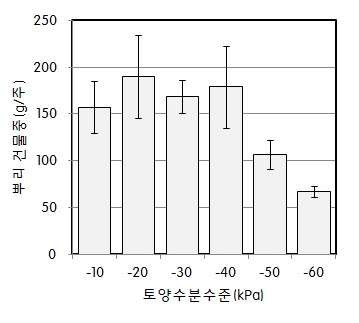 그림 4. 토양수분함량에 따른 비파 뿌리 건물중
