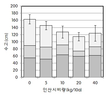 그림 5. 인산시비수준에 따른 비파 수고
