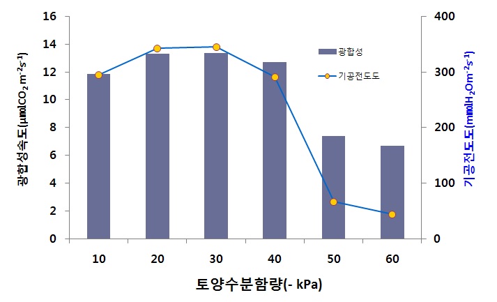 그림 1. 토양수분 함량에 따른 광합성 속도