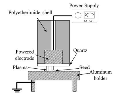 그림 1. 연구에 사용된 air dielectric barrier discharge (DBD) 시스템 단면도