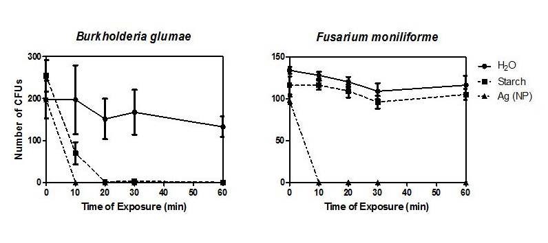 그림 2. 은나노 물질(AgNP) 처리기간별 Burkholderia glumae and Gibberella fujikuroi에 대한 불활성화