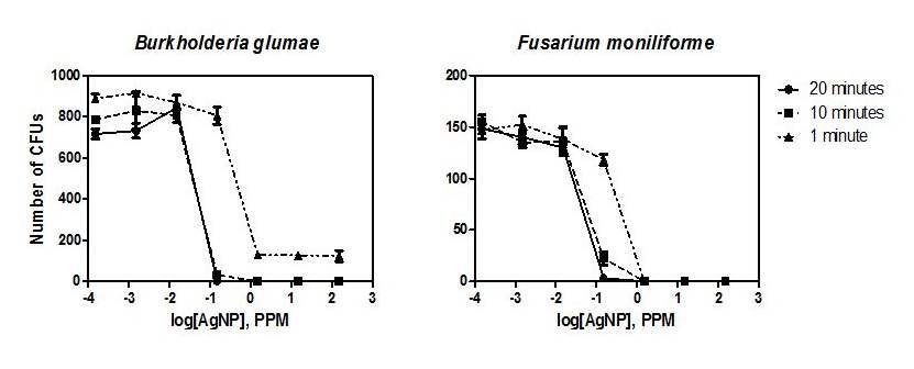 그림 3. 은나노 물질의 urkholderia glumae and Gibberella fujikuroi에 대한 Dose-response