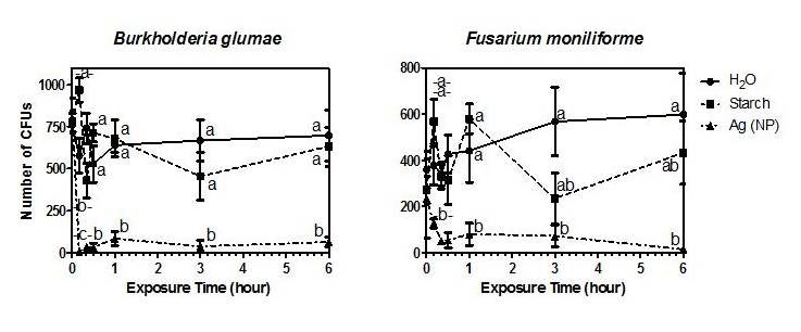 그림 5. 은나노 물질의 종자처리에 의한 Burkholderia glumae and Gibberella fujikuroi 효과