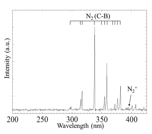 그림 2. 광학 방출 분광기에 의한 공기 DBD의 광학 방출 스펙트라