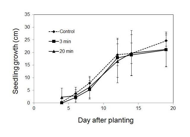 그림 6. 저온 플라즈마를 처리에 의한 벼 종자의 유묘 성장율.