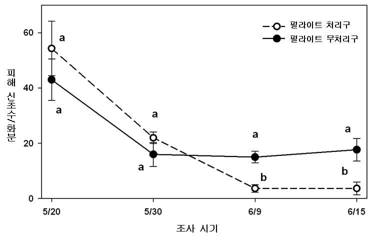 펄라이트 이용 물리적 방제 수단 처리 후 피해 신초 수 비교