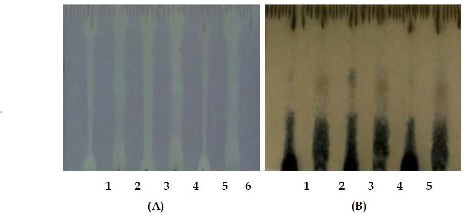 Fig. 14. Thin-layer chromatography (TLC) analysis during the fermentation of wine made with various pear cultivars