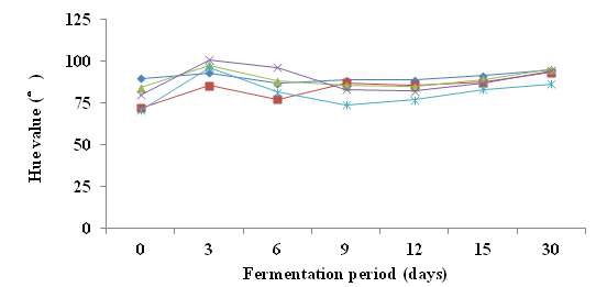 Fig. 21. Changes of hue value during the fermentation of vinegar made with various pear cultivars